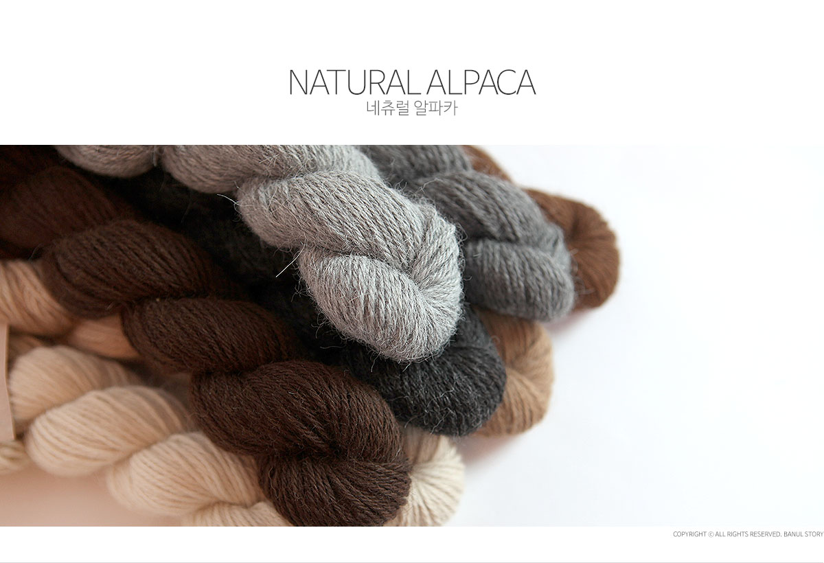 네츄럴 알파카(Natural Alpaca)