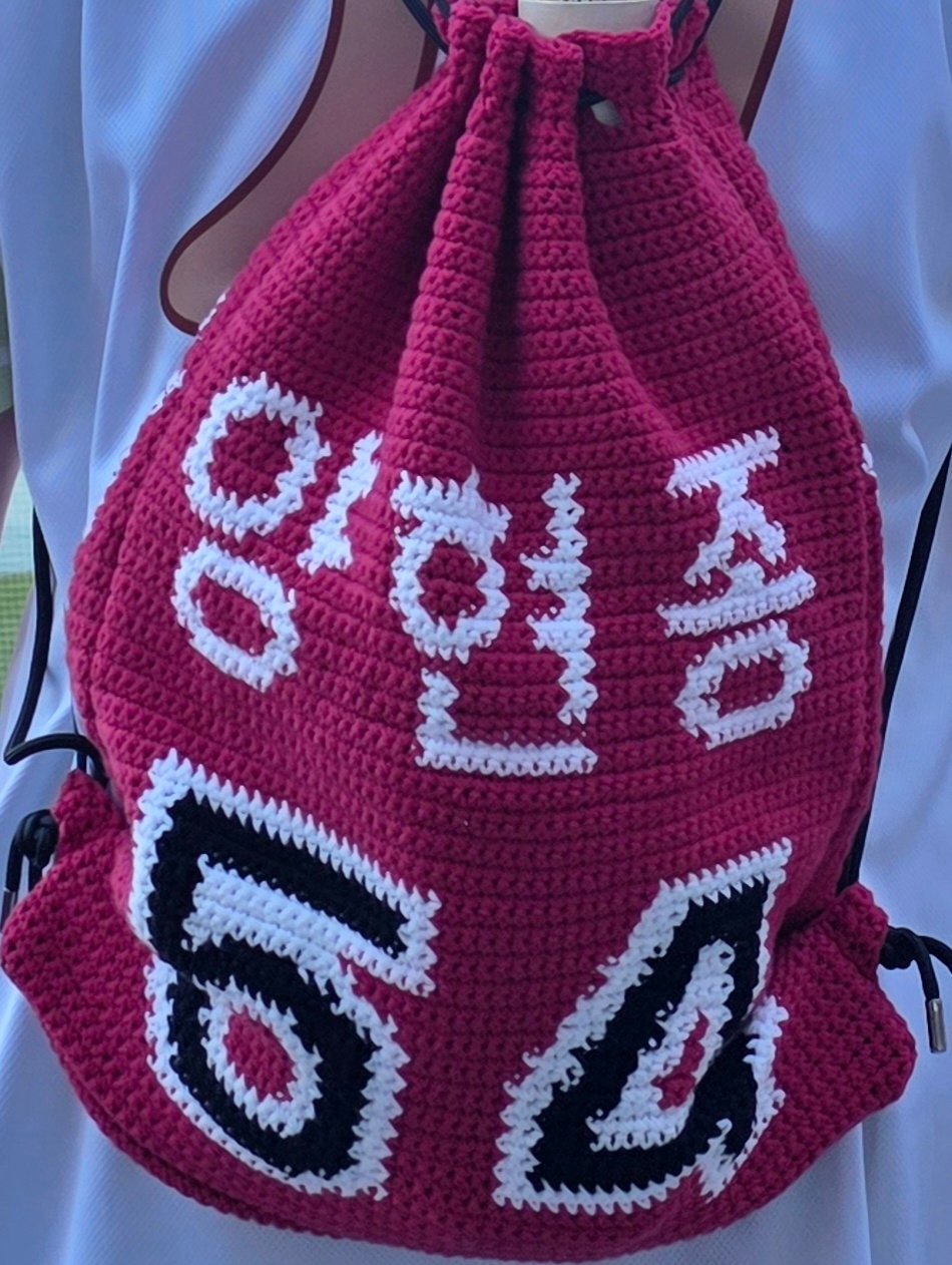 야구 짐색