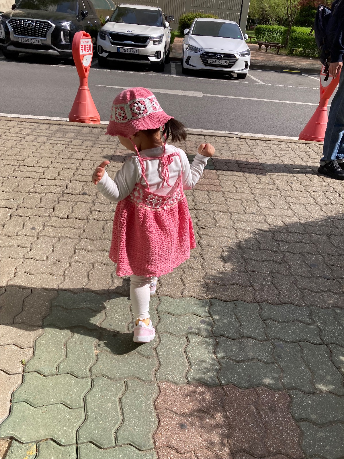 라라 모티브 드레스